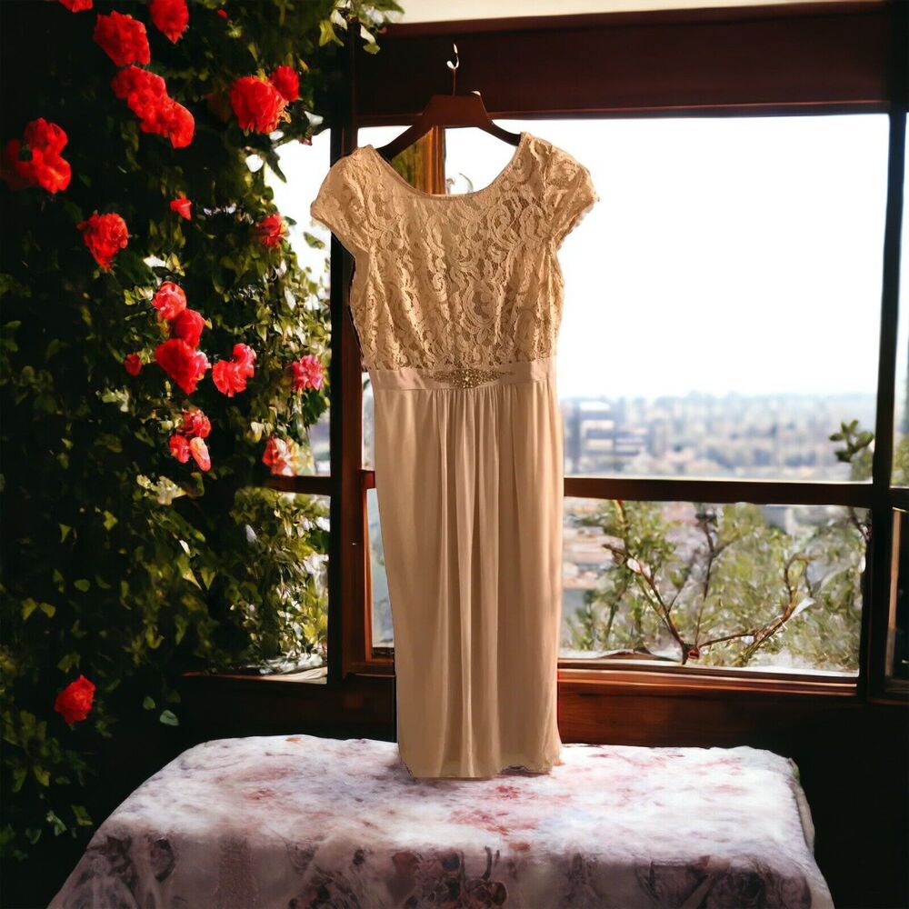 Adriana Papell Sleeveless Lace Cream Off White Long Beige Dress Size 6 NWT